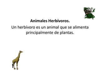 Animales Herbívoros.
Un herbívoro es un animal que se alimenta
principalmente de plantas.