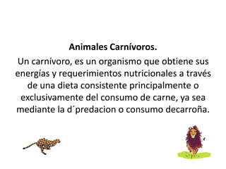 Animales Carnívoros.
Un carnívoro, es un organismo que obtiene sus
energías y requerimientos nutricionales a través
de una dieta consistente principalmente o
exclusivamente del consumo de carne, ya sea
mediante la d´predacion o consumo decarroña.