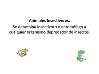 Animales Insectívoros.
Se denomina insectívoro o entomófago a
cualquier organismo depredador de insectos.