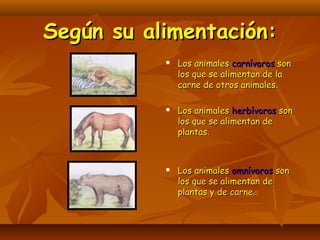 Según su alimentación:
              Los animales carnívoros son
               los que se alimentan de la
               carne de otros animales.

              Los animales herbívoros son
               los que se alimentan de
               plantas.



              Los animales omnívoros son
               los que se alimentan de
               plantas y de carne.
 