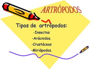 Tipos de  artrópodos: Insectos Arácnidos. Crustáceos Miriápodos. ARTRÓPODOS 