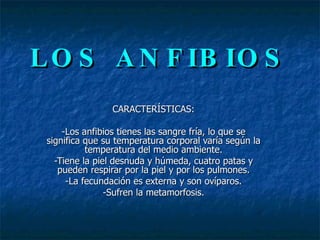 LOS ANFIBIOS CARACTERÍSTICAS: -Los anfibios tienes las sangre fría, lo que se significa que su temperatura corporal varía según la temperatura del medio ambiente. -Tiene la piel desnuda y húmeda, cuatro patas y pueden respirar por la piel y por los pulmones. -La fecundación es externa y son ovíparos. -Sufren la metamorfosis. 