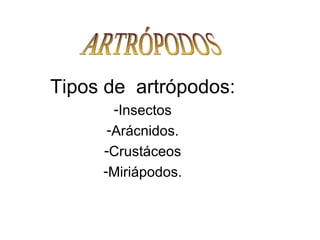 Tipos de  artrópodos: Insectos Arácnidos. Crustáceos Miriápodos. ARTRÓPODOS 