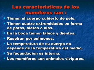 Las características de los mamíferos son :  Tienen el cuerpo cubierto de pelo. Tienen cuatro extremidades en forma de patas, aletas o alas. En la boca tienen labios y dientes. Respiran por pulmones. La temperatura de su cuerpo no depende de la temperatura del medio.  Su fecundación es interna. Los mamíferos son animales vivíparos. 