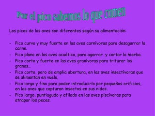 Los picos de las aves son diferentes según su alimentación: Pico curvo y muy fuerte en las aves carnívoras para desagarrar la carne. Pico plano en las aves acuática, para agarrar  y cortar la hierba. Pico corto y fuerte en las aves granívoras para triturar los granos.. Pico corto, pero de amplia abertura, en las aves insectívoras que se alimentan en vuelo. Pico largo y fino para poder introducirlo por pequeños orificios, en las aves que capturan insectos en sus nidos. Pico largo, puntiagudo y afilado en las aves piscívoras para atrapar los peces.  Por el pico sabemos lo que comen 
