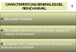 CARACTERÍSTICAS GENERALES DEL REINO ANIMAL 5 Se pueden desplazar No pueden fabricar su propio alimento, porque no realizan la fotosíntesis  Se adaptan fácil y rápidamente a los cambios que se producen en su ambiente  