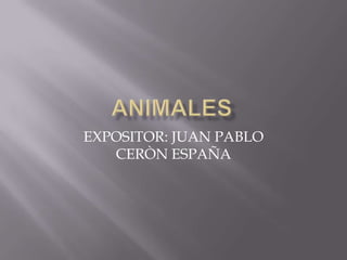 EXPOSITOR: JUAN PABLO
   CERÒN ESPAÑA
 