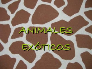 ANIMALES
EXÓTICOS
 