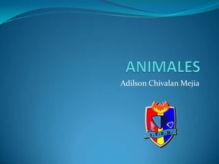 Adilson Chivalan Mejía
 