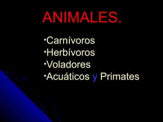 ANIMALES.
•Carnívoros
•Herbívoros
•Voladores
•Acuáticos   y Primates
 