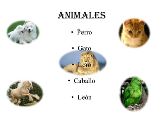 Animales
• Perro
• Gato
• Loro
• Caballo
• León
 