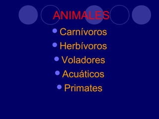 ANIMALES
Carnívoros
Herbívoros
Voladores
Acuáticos
Primates
 