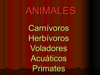 ANIMALESANIMALES
CarnívorosCarnívoros
HerbívorosHerbívoros
VoladoresVoladores
AcuáticosAcuáticos
PrimatesPrimates
 