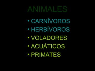 ANIMALES
• CARNÍVOROS
• HERBÍVOROS
• VOLADORES
• ACUÁTICOS
• PRIMATES
 