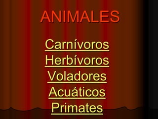 ANIMALES
Carnívoros
Herbívoros
Voladores
Acuáticos
Primates
 
