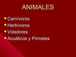 ANIMALESANIMALES
CarnívorosCarnívoros
HerbívorosHerbívoros
VoladoresVoladores
Acuáticos y PrimatesAcuáticos y Primates
 