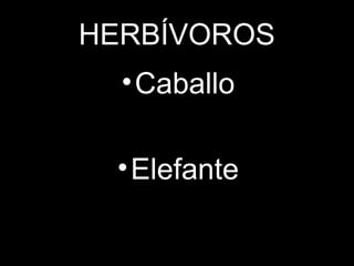 HERBÍVOROS
•Caballo
•Elefante
 