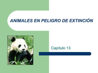 ANIMALES EN PELIGRO DE EXTINCIÓN
Capítulo 13
 