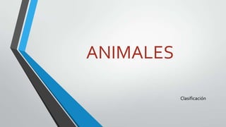 ANIMALES
Clasificación
 