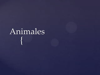 Animales

{

 