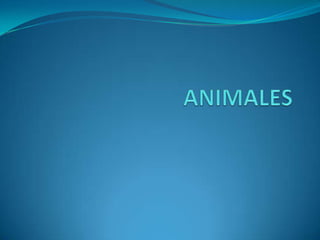 Animales