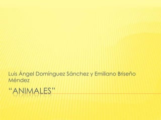 Luis Ángel Domínguez Sánchez y Emiliano Briseño
Méndez

“ANIMALES”

 