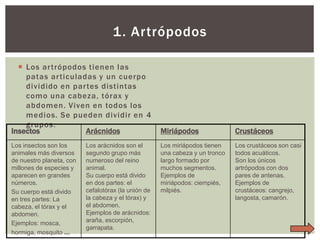 1. Artrópodos
 Los ar trópodos tienen las
patas ar ticuladas y un cuerpo
dividido en par tes distintas
como una cabeza, tórax y
abdomen. Viven en todos los
medios. Se pueden dividir en 4
grupos:
Insectos
Arácnidos
Los insectos son los
animales más diversos
de nuestro planeta, con
millones de especies y
aparecen en grandes
números.
Su cuerpo está divido
en tres partes: La
cabeza, el tórax y el
abdomen.
Ejemplos: mosca,
hormiga, mosquito …

Los arácnidos son el
segundo grupo más
numeroso del reino
animal.
Su cuerpo está divido
en dos partes: el
cefalotórax (la unión de
la cabeza y el tórax) y
el abdomen.
Ejemplos de arácnidos:
araña, escorpión,
garrapata.

Miriápodos

Crustáceos

Los miriápodos tienen
una cabeza y un tronco
largo formado por
muchos segmentos.
Ejemplos de
miriápodos: ciempiés,
milpiés.

Los crustáceos son casi
todos acuáticos.
Son los únicos
artrópodos con dos
pares de antenas.
Ejemplos de
crustáceos: cangrejo,
langosta, camarón.

 