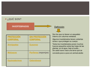  ¿QUÉ SON?
INVERTEBRADOS

Definición

PROTECCIÓN
CORPORAL

SIN PROTECCIÓN
CORPORAL

Artrópodos

Gusanos

Moluscos

Poríferos (esponjas)

Equinodermos

Celentéreos

Son los que no tienen un esqueleto
interno con columna vertebral.
Algunos invertebrados tienen cubiertas
duras o que protegen su cuerpo.
Todos los invertebrados ponen muchos
huevos pequeños sobre las hojas de las
plantas, en el agua, bajo el suelo...
De cada huevo nace una larva que se
convierte poco a poco en animal adulto

 