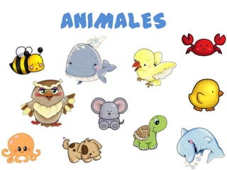 ANIMALES

 