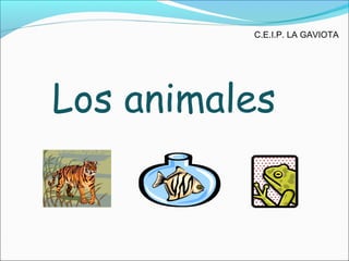 C.E.I.P. LA GAVIOTA

Los animales

 