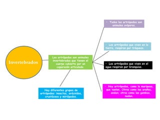 Invertebrados
Los artrópodos son animales
invertebrados que tienen el
cuerpo cubierto por un
caparazón articulado.
• Todos los artrópodos son
animales ovíparos.
• Los artrópodos que viven en la
tierra, respiran por tráqueas.
• Los artrópodos que viven en el
agua respiran por branquias.
• Hay artrópodos, como la mariposa,
que vuelan. Otros como las arañas,
andan; otros como las gambas,
nadan.
Hay diferentes grupos de
artrópodos: insectos, arácnidos,
crustáceos y miriópodos.
 