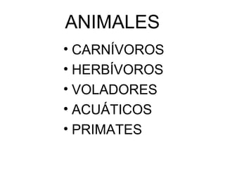 ANIMALES
• CARNÍVOROS
• HERBÍVOROS
• VOLADORES
• ACUÁTICOS
• PRIMATES
 