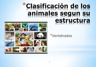 *Clasificación de los
animales segun su
estructura
*Vertebrados
1
 
