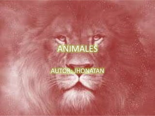 ANIMALES
AUTOR: JHONATAN
 