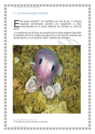 ANIMALES MÁS RAROS DEL MUNDO
KATYRIA MORALES
9 ¿Un Nuevo pulpo morado?
ste pulpo moradoVIII
sin identificar es uno de las 11 nuevas
especies encontradas durante una expedición a altas
profundidades en la costa atlántica de Canada en Julio de
2010.
La expedición de 20 días de duración tenía como objetivo descubrir
la relación entre los corales de agua fría y otro tipo de criaturas del
fondo marino, en un entorno “alien”, todavía por estudiar.
VIII
Este pulpo es una de las 11 especies sin identificar
E
 