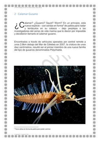 ANIMALES MÁS RAROS DEL MUNDO
KATYRIA MORALES
2 Calamar Gusano
alamar? ¿Gusano? Squid? Worm? En un principio, esta
nueva especie – con cerdas en formaII
de paleta para nadar
y tentáculos en su cabeza – dejo perplejos a los
investigadores del censo de vida marina que lo dieron por imposible
y decidieron llamarlo el calamar gusano.
Encontrados a través de vehículos operados por control remote a
unos 2.8km debajo del Mar de Célebes en 2007, la criatura de unos
diez centímetros, resultó ser el primer miembro de una nueva familia
del tipo de gusanos denominados Polychaeta.
II
Tiene aletas en forma de paleta para poder caminar
¿C
 