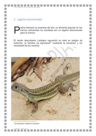 ANIMALES MÁS RAROS DEL MUNDO
KATYRIA MORALES
3 Lagarto Autoclonable
odría llamarse la sorpresa del día: un alimento popular en los
menús vietnamitas ha resultado ser un lagarto desconocido
para la ciencia.
El recién descubierto Leiolepis ngovantrii no está en peligro de
extinción, la hembra se reproduceIII
mediante la clonación y sin
necesidad de los machos.
III
Se reproducen mediante la clonación
P
 