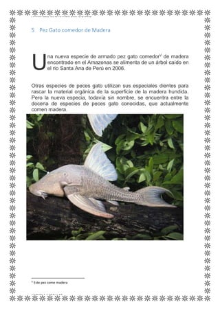 ANIMALES MÁS RAROS DEL MUNDO
KATYRIA MORALES
5 Pez Gato comedor de Madera
na nueva especie de armado pez gato comedorV
de madera
encontrado en el Amazonas se alimenta de un árbol caído en
el rio Santa Ana de Perú en 2006.
Otras especies de peces gato utilizan sus especiales dientes para
rascar la material orgánica de la superficie de la madera hundida.
Pero la nueva especia, todavía sin nombre, se encuentra entre la
docena de especies de peces gato conocidas, que actualmente
comen madera.
V
Este pez come madera
U
 