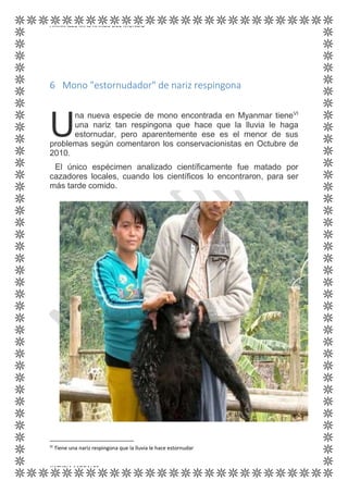 ANIMALES MÁS RAROS DEL MUNDO
KATYRIA MORALES
6 Mono "estornudador" de nariz respingona
na nueva especie de mono encontrada en Myanmar tieneVI
una nariz tan respingona que hace que la lluvia le haga
estornudar, pero aparentemente ese es el menor de sus
problemas según comentaron los conservacionistas en Octubre de
2010.
El único espécimen analizado científicamente fue matado por
cazadores locales, cuando los científicos lo encontraron, para ser
más tarde comido.
VI
Tiene una nariz respingona que la lluvia le hace estornudar
U
 
