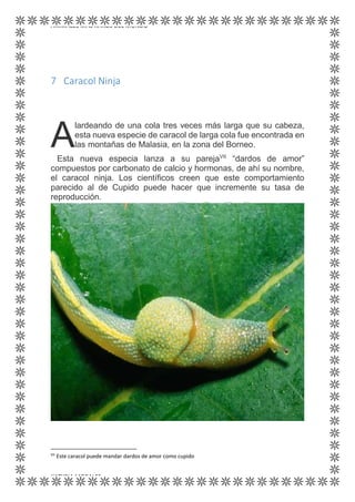 ANIMALES MÁS RAROS DEL MUNDO
KATYRIA MORALES
7 Caracol Ninja
lardeando de una cola tres veces más larga que su cabeza,
esta nueva especie de caracol de larga cola fue encontrada en
las montañas de Malasia, en la zona del Borneo.
Esta nueva especia lanza a su parejaVII
“dardos de amor”
compuestos por carbonato de calcio y hormonas, de ahí su nombre,
el caracol ninja. Los científicos creen que este comportamiento
parecido al de Cupido puede hacer que incremente su tasa de
reproducción.
VII
Este caracol puede mandar dardos de amor como cupido
A
 