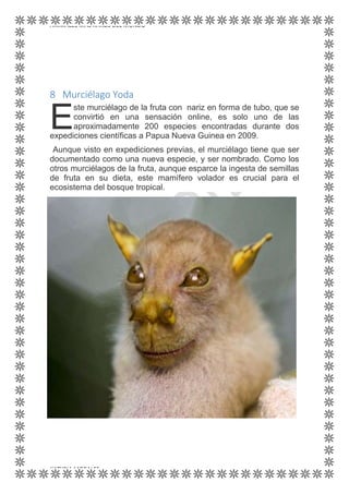 ANIMALES MÁS RAROS DEL MUNDO
KATYRIA MORALES
8 Murciélago Yoda
ste murciélago de la fruta con nariz en forma de tubo, que se
convirtió en una sensación online, es solo uno de las
aproximadamente 200 especies encontradas durante dos
expediciones científicas a Papua Nueva Guinea en 2009.
Aunque visto en expediciones previas, el murciélago tiene que ser
documentado como una nueva especie, y ser nombrado. Como los
otros murciélagos de la fruta, aunque esparce la ingesta de semillas
de fruta en su dieta, este mamífero volador es crucial para el
ecosistema del bosque tropical.
E
 