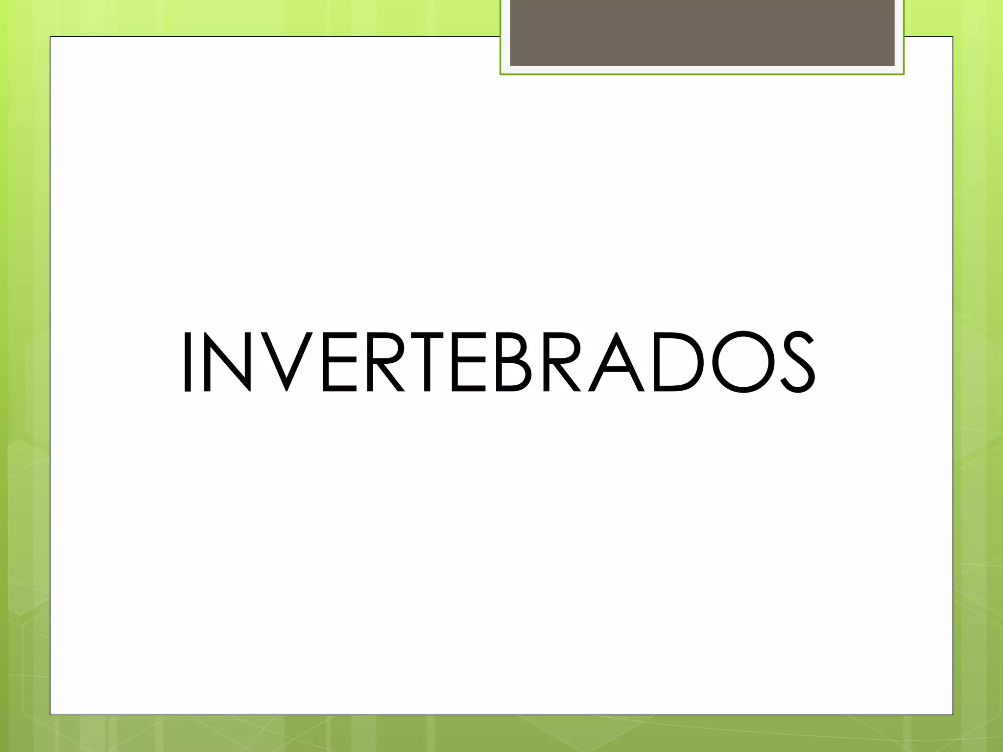 INVERTEBRADOS
 