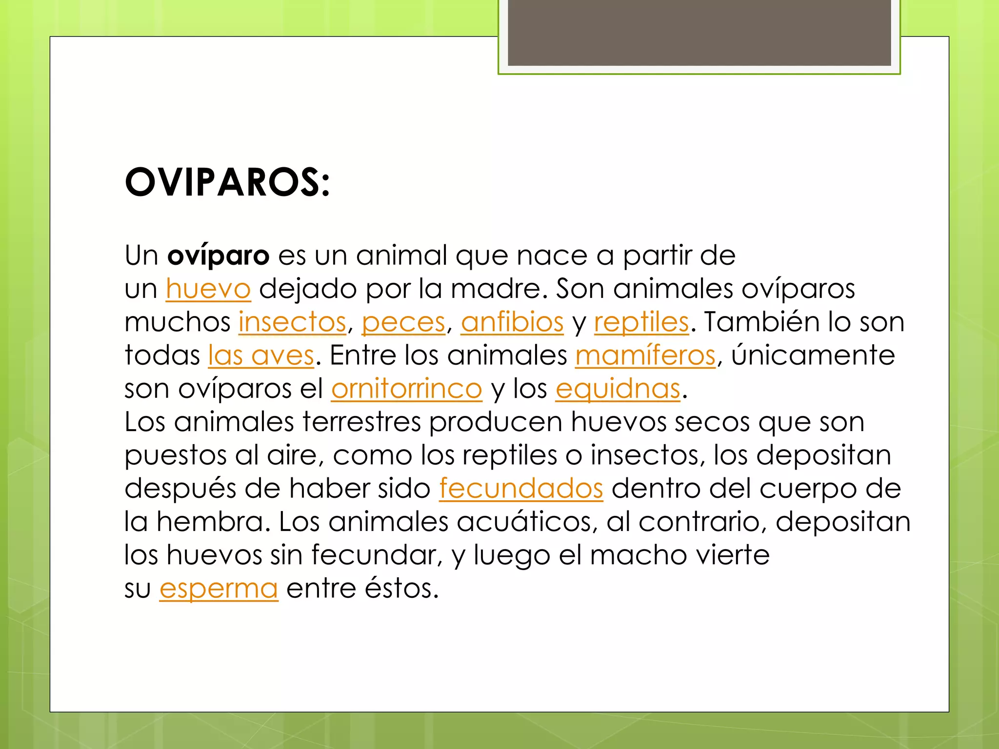 OVIPAROS:
Un ovíparo es un animal que nace a partir de
un huevo dejado por la madre. Son animales ovíparos
muchos insectos, peces, anfibios y reptiles. También lo son
todas las aves. Entre los animales mamíferos, únicamente
son ovíparos el ornitorrinco y los equidnas.
Los animales terrestres producen huevos secos que son
puestos al aire, como los reptiles o insectos, los depositan
después de haber sido fecundados dentro del cuerpo de
la hembra. Los animales acuáticos, al contrario, depositan
los huevos sin fecundar, y luego el macho vierte
su esperma entre éstos.
 