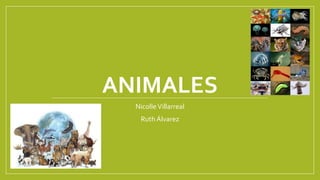ANIMALES 
Nicolle Villarreal 
Ruth Álvarez 
 