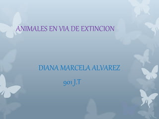 ANIMALES EN VIA DE EXTINCION 
DIANA MARCELA ALVAREZ 
901 J.T 
 