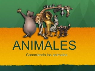ANIMALES 
Conociendo los animales 
 