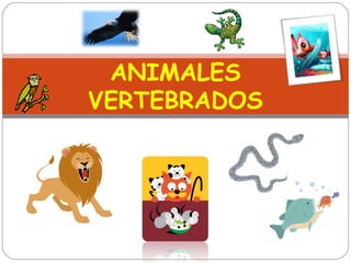 ANIMALES
VERTEBRADOS
 