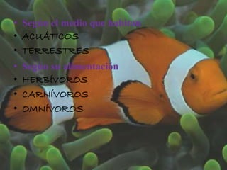 • Según el medio que habitan
• ACUÁTICOS
• TERRESTRES
• Según su alimentación
• HERBÍVOROS
• CARNÍVOROS
• OMNÍVOROS
 