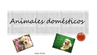 Animales domésticos
Angie Avalos
 