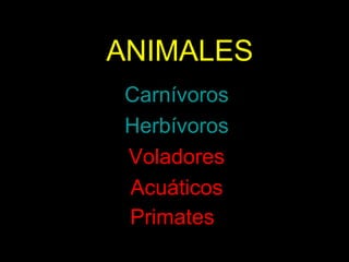 ANIMALES
•Carnívoros
•Herbívoros
•Voladores
•Acuáticos
•Primates
 